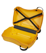145048-B016 Samsonite Dream2go Simba lion king rider on kids - Image 3